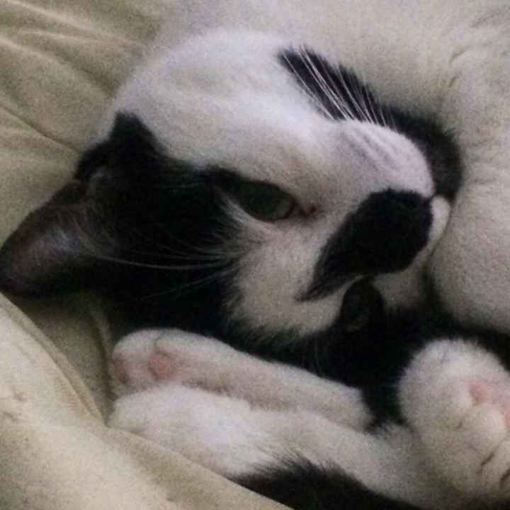 this is Dan