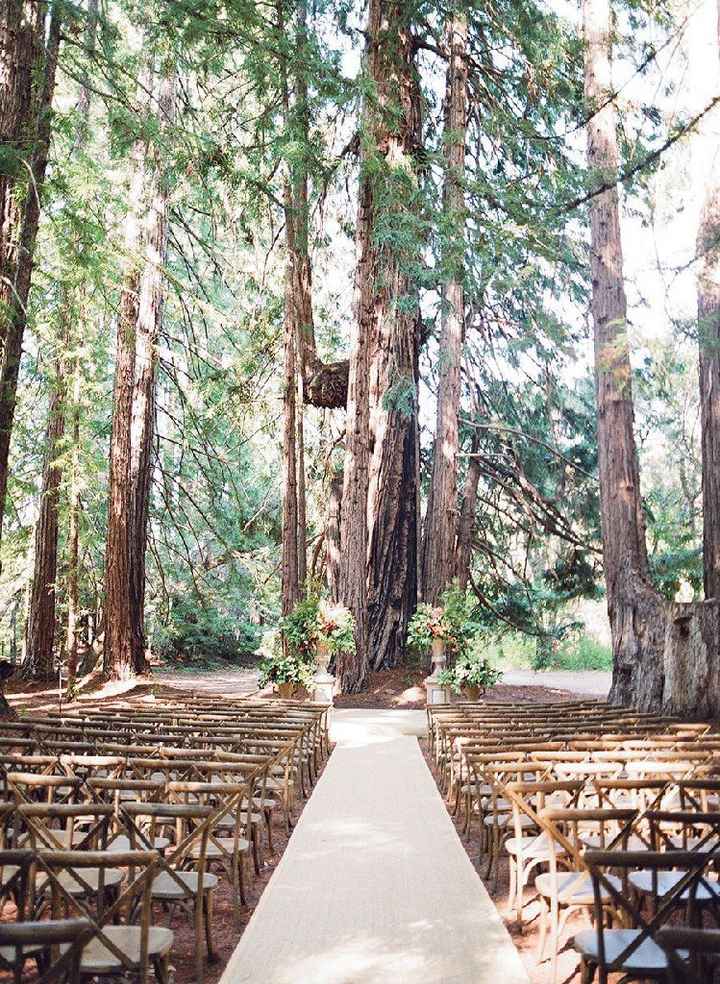 Forest Wedding Ceremony - 1