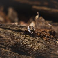 Brides of 2021! Show us your ring!! - 1