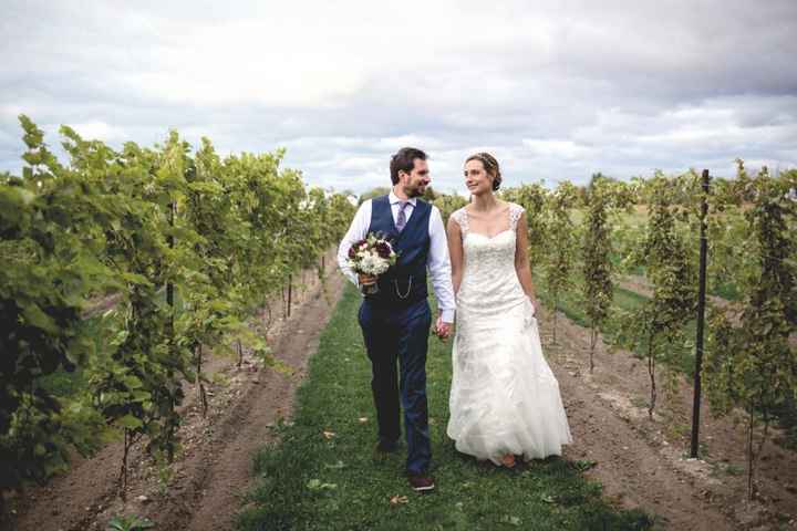 Vineyards