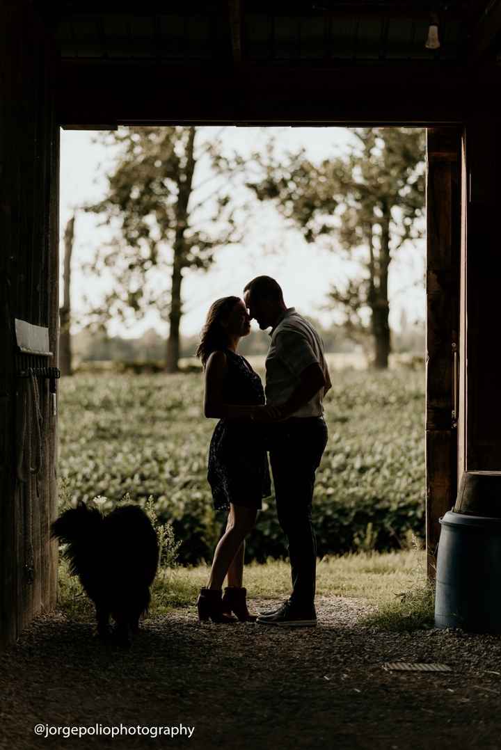 Engagement Shoot with a Dog - 1
