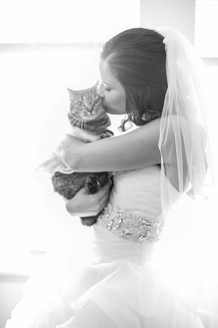 Animal Lover Brides! How are you including you pets in your wedding? - 1
