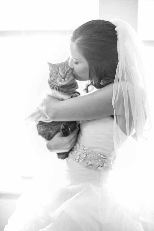 Animal Lover Brides! How are you including you pets in your wedding? - 1