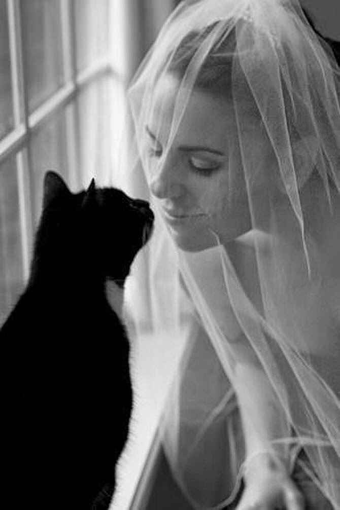 Animal Lover Brides! How are you including you pets in your wedding? - 3