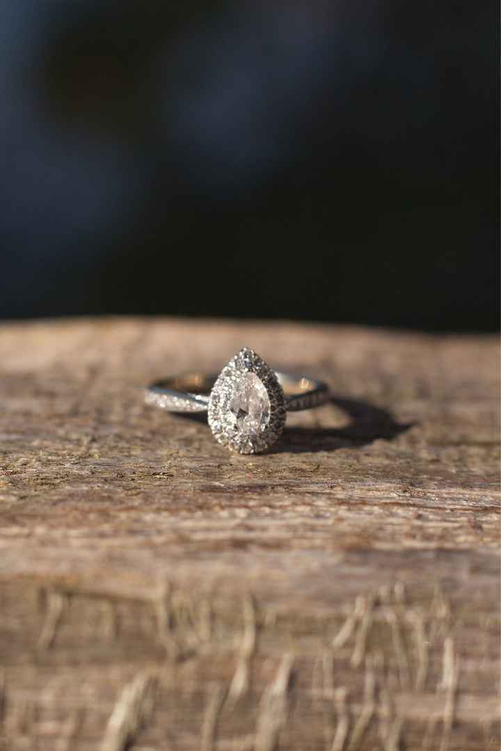 Engagement Photos - 7