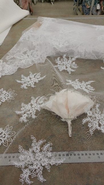 Blush dress- what colour veil? - 1