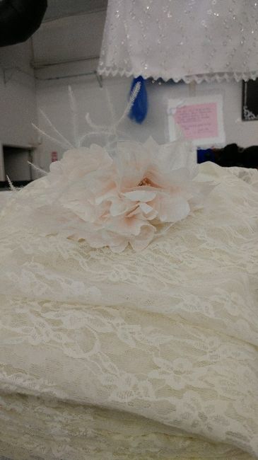Blush dress- what colour veil? - 1