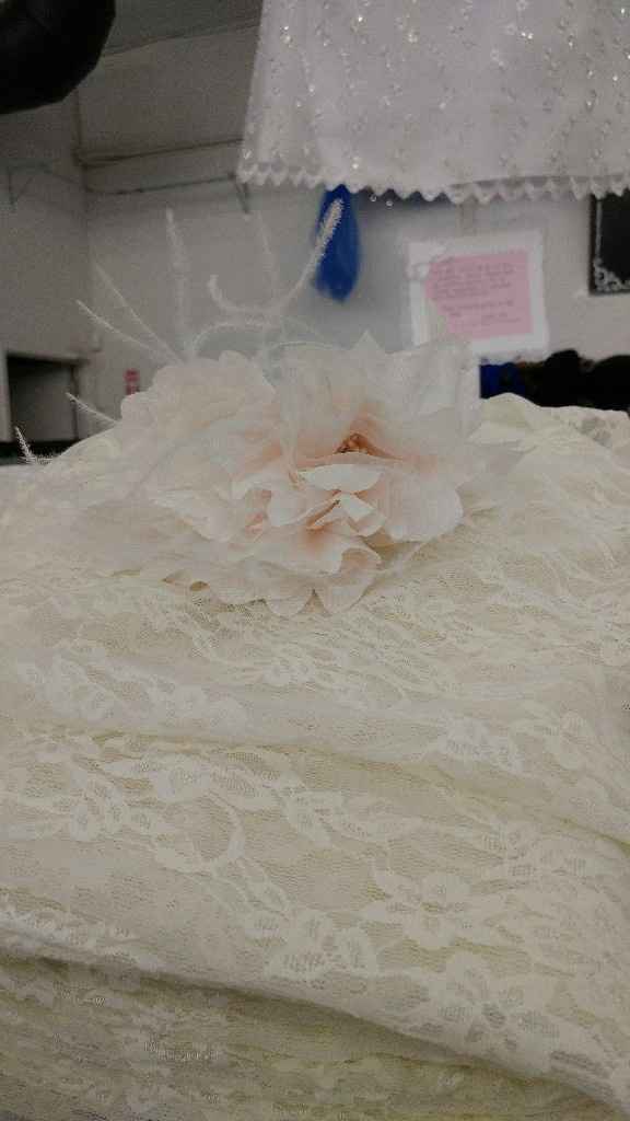 Blush dress- what colour veil? - 1
