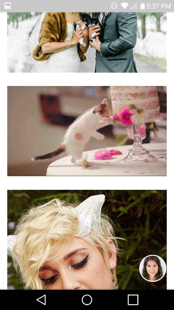 Pets and animals at weddings - 2