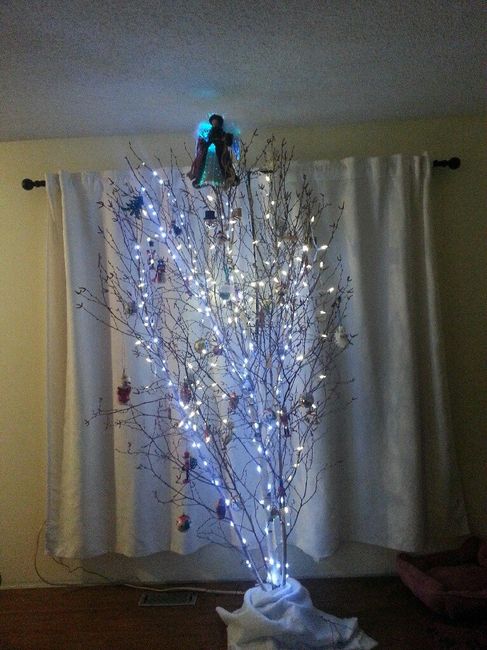 Cheap and beautiful decorations?? - 1