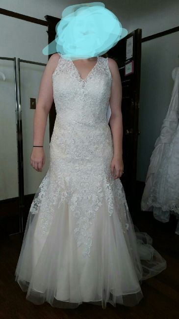 Bought my dress today! - 3