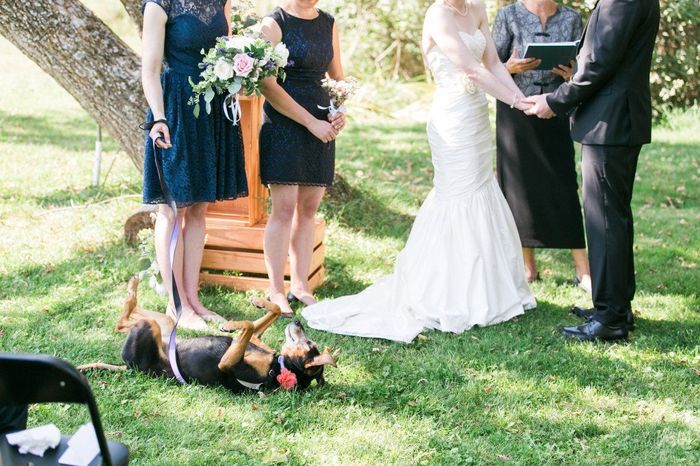 Heidi had to have her moment during the ceremony!