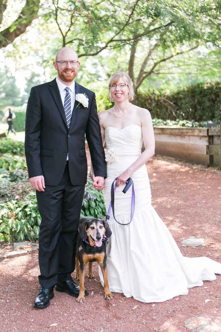 dog of honour 
