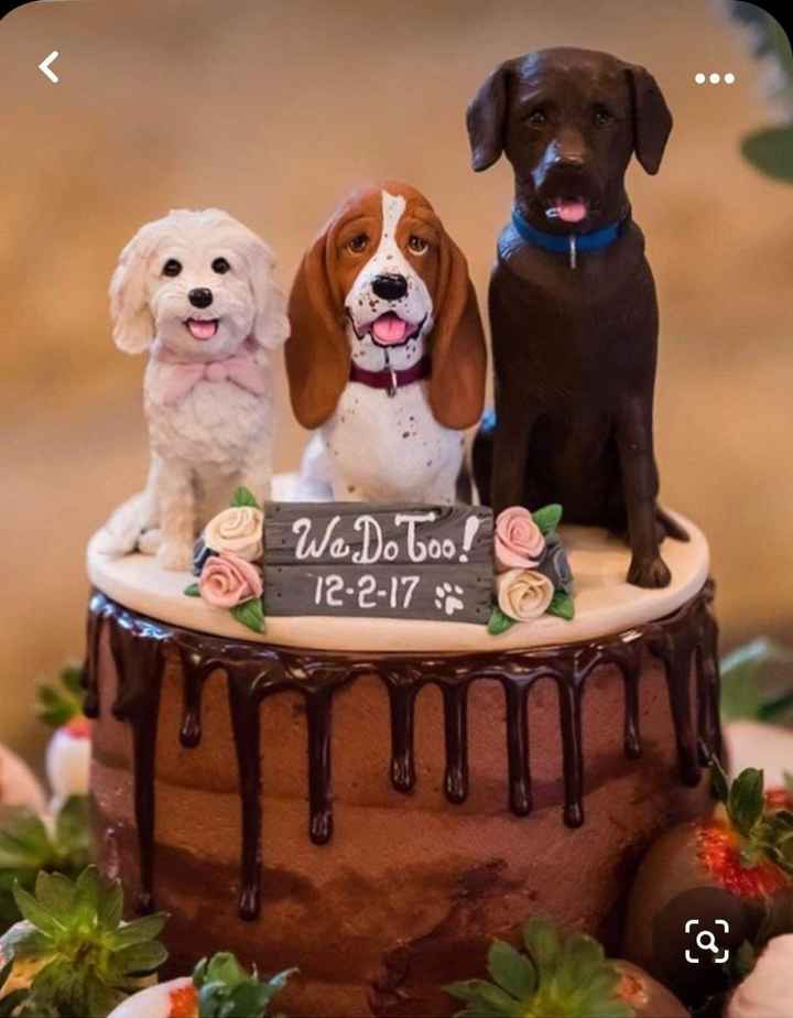 Summer/fall 2023 Brides and Grooms - 1