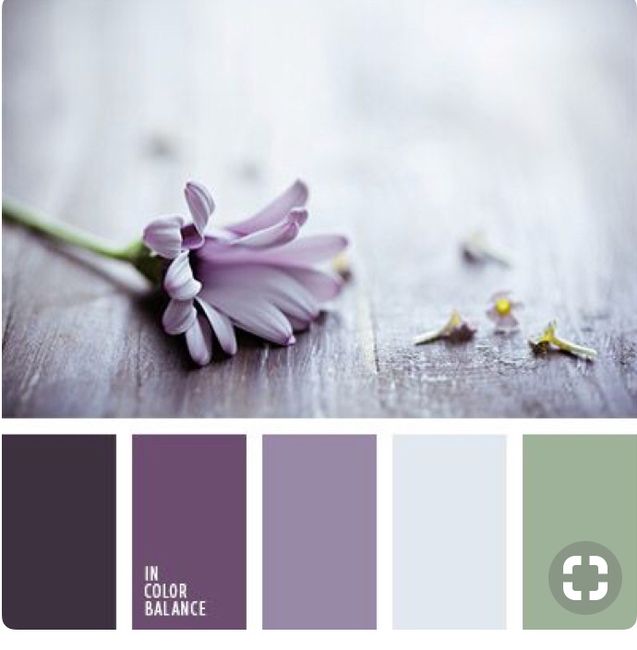 Back to Basics - What is your colour palette? 1