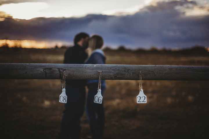 Engagement Photos - 1