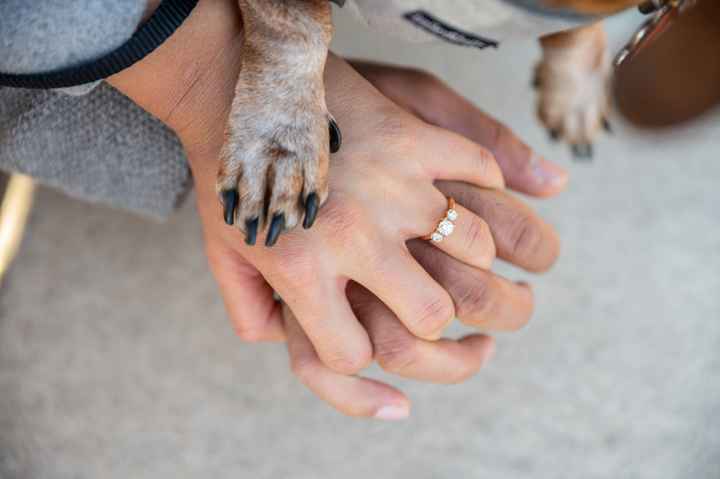 Brides of 2023 - Let's See Your Ring! 10