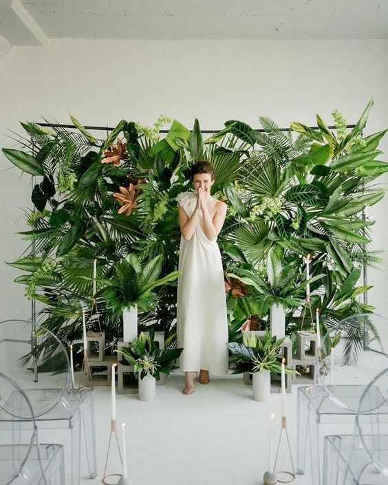 Backdrop
