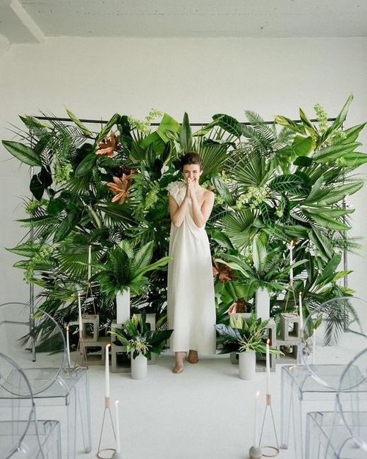 Backdrop