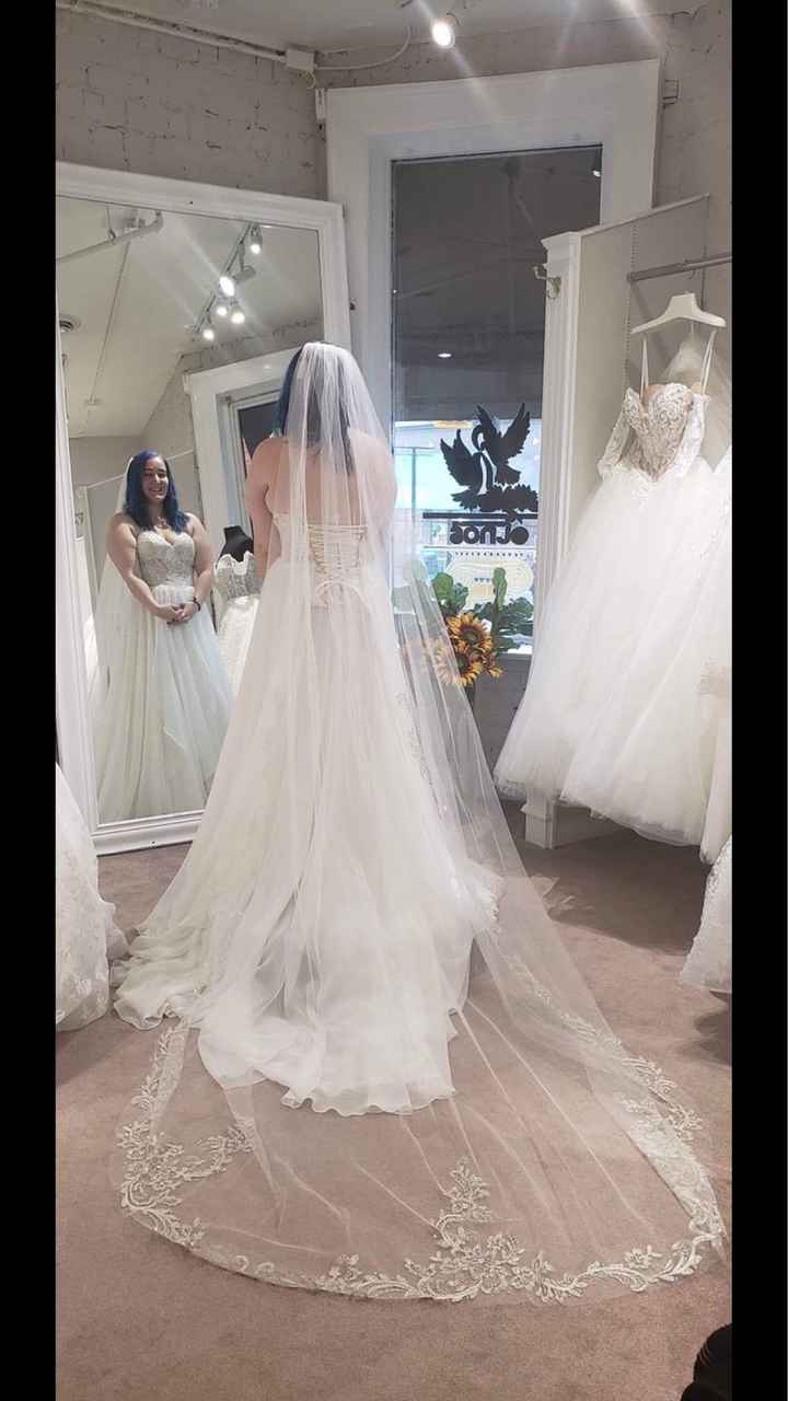 Wedding Dress Woes - 5