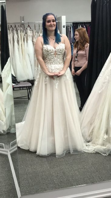 Wedding Dress Woes - 1