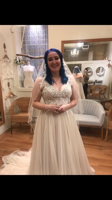 Wedding Dress Woes 1