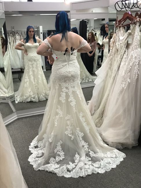 Wedding Dress Woes 6