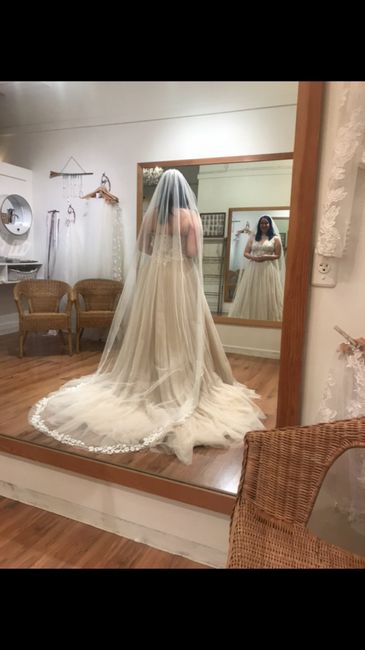 Wedding Dress Woes 2