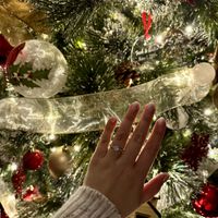 Brides of 2025 - Let's See Your Ring! - 1