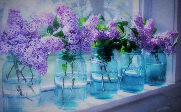 My Wedding Dress Just Changed My Wedding Colours 1