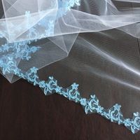Stumped on a Veil?? - 1