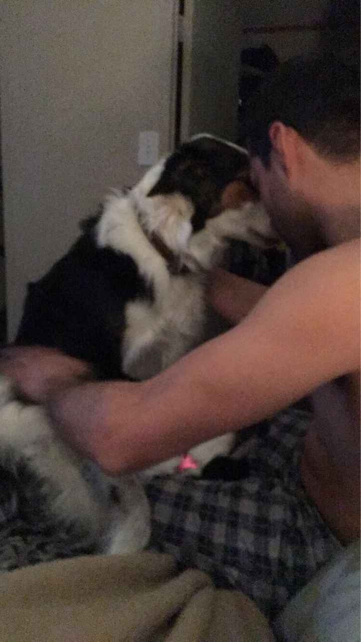 When did you and your SO get a pet together? - 2