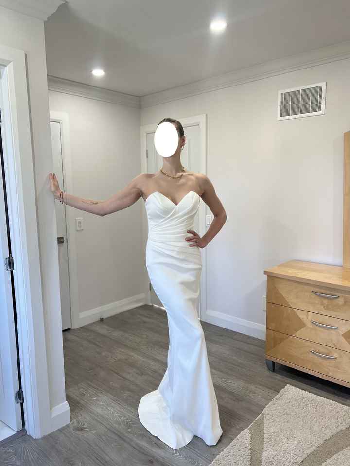 Selling New, Never Worn, Designer Eva Lendel Dress - 1