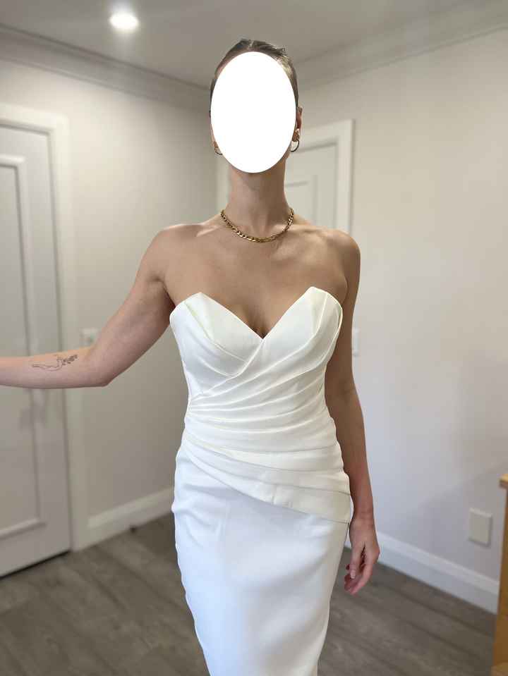 Selling New, Never Worn, Designer Eva Lendel Dress - 2