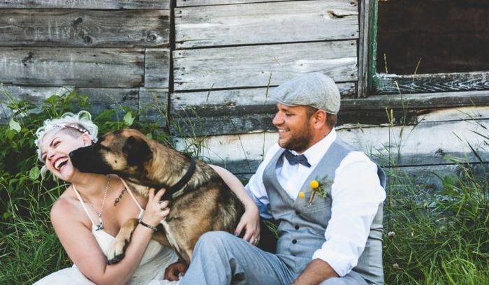 I'm looking for the cutest four legged wedding guests! (share your wedding day pets!) 1