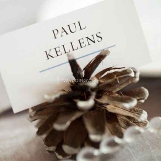or pinecones?