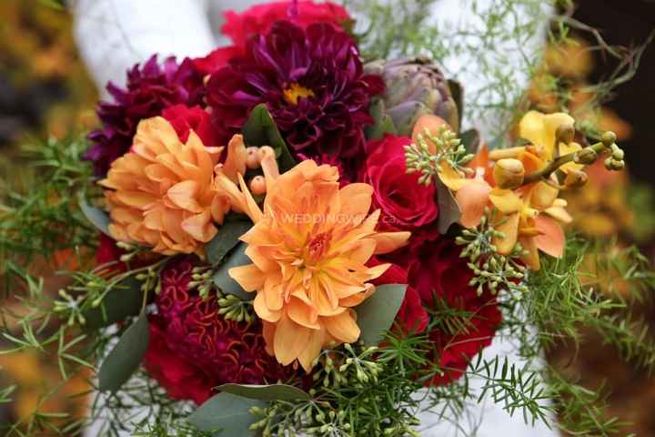 or dahlias?