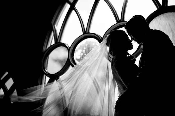 Veil 
