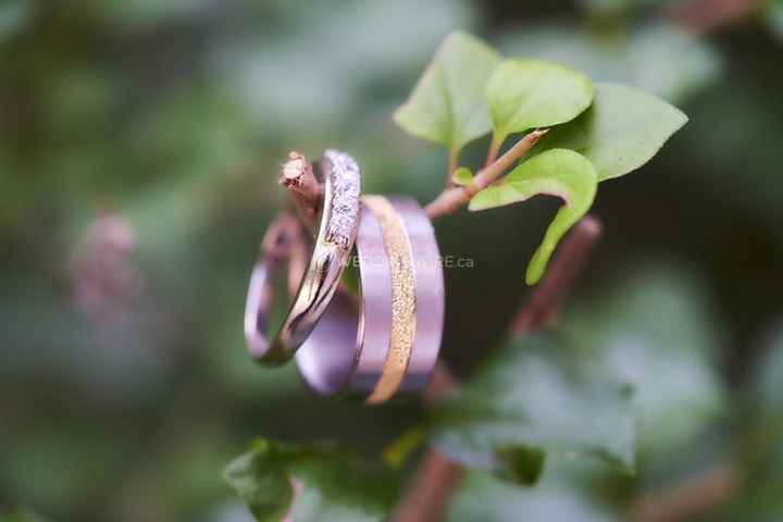 rings