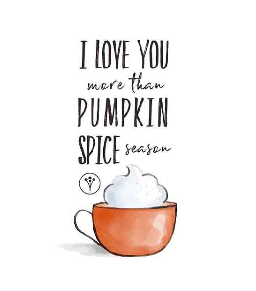 Fiancé(e) Friday - You and your boo's favourite holiday - 1