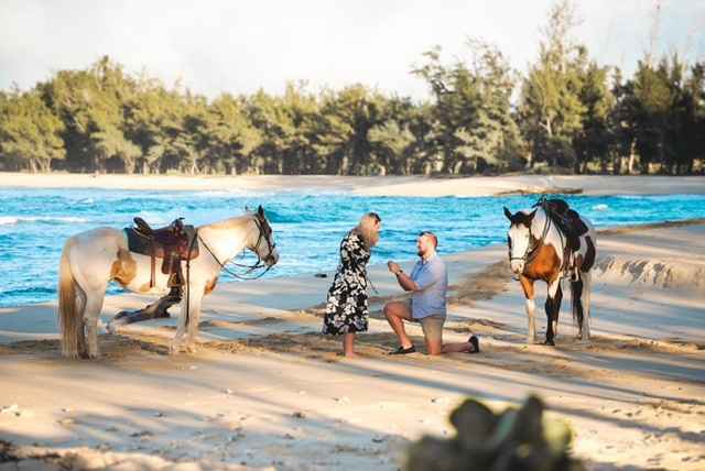 Yay! Congrats to the winners of the 45th edition of the WeddingWire contest! - 2