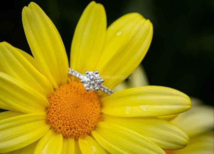 Brides of 2022 - Show Us Your Ring! - 1