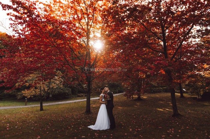 Fall in love with fall weddings - NEW GAME!! 1