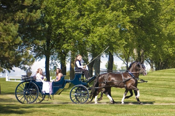 Totally chic, or too much? - Unique Transportation 2