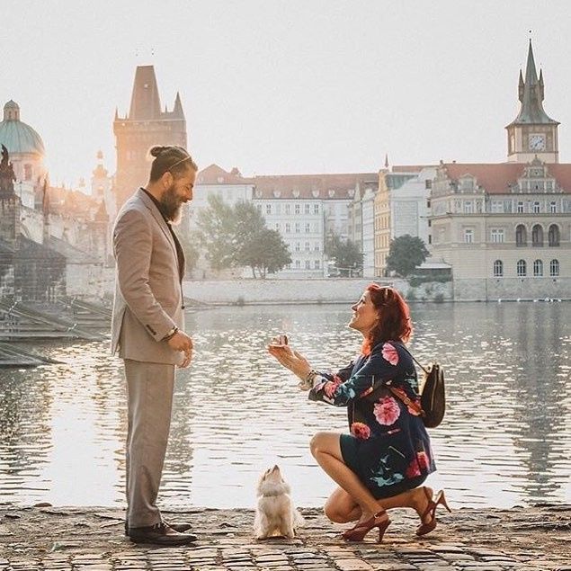 Proposal Perfection - Do you remember the proposal speech? 1