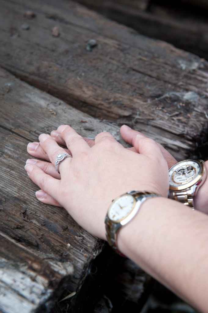  Engagement Photos - 6