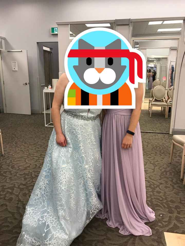 Bridesmaid Dress Feedback - 1