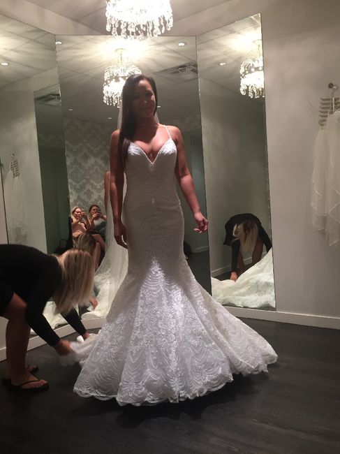Have you said yes to the Dress? 9