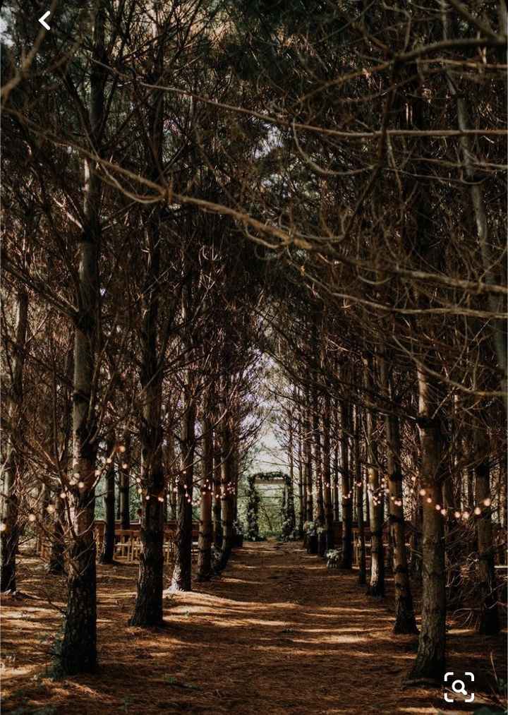 Wedding venue help ! 2