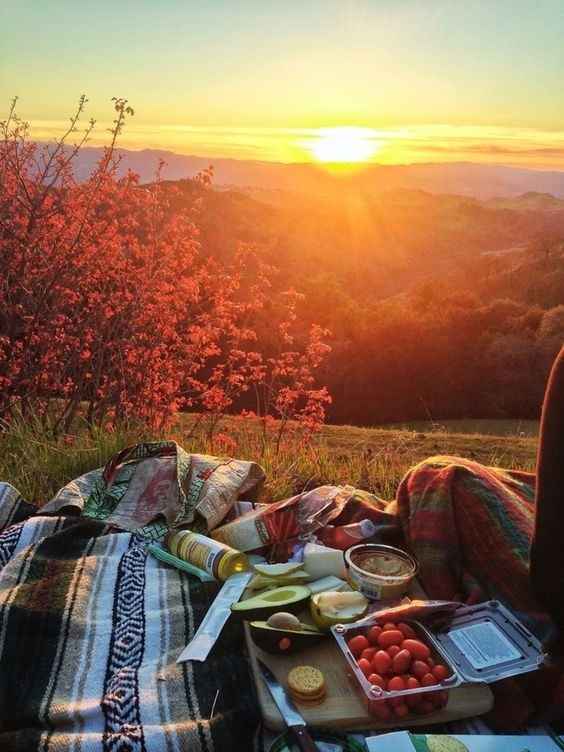 Picnic 